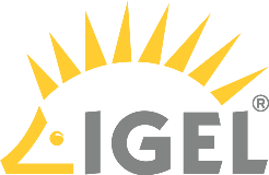 IGEL UD Pocket